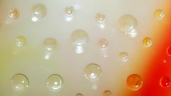 Reasons for the Bubbles in the Float Glass